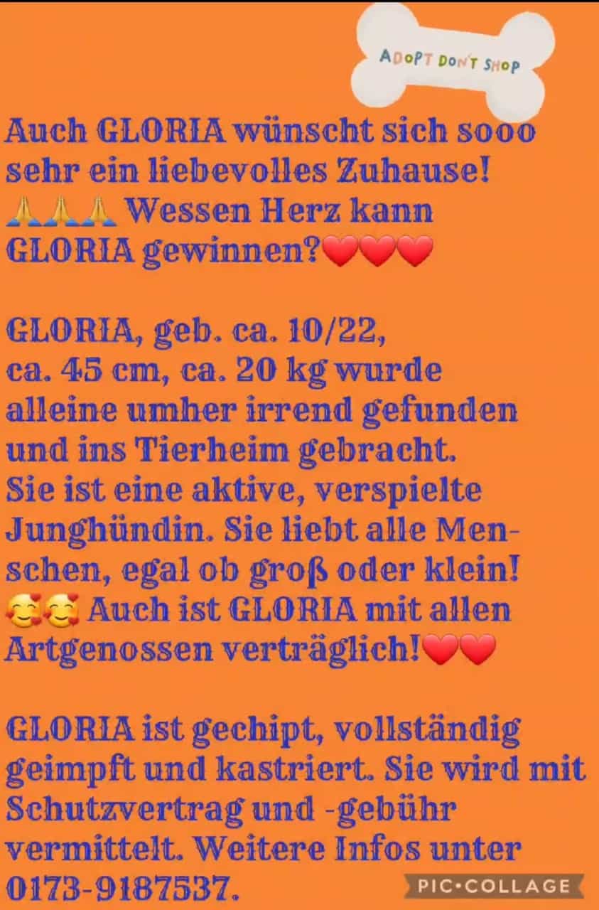 Gloria text