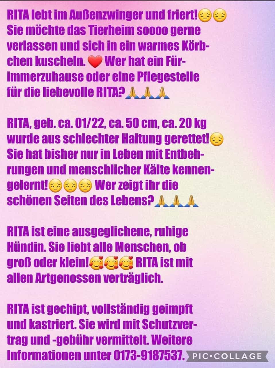 Rita text