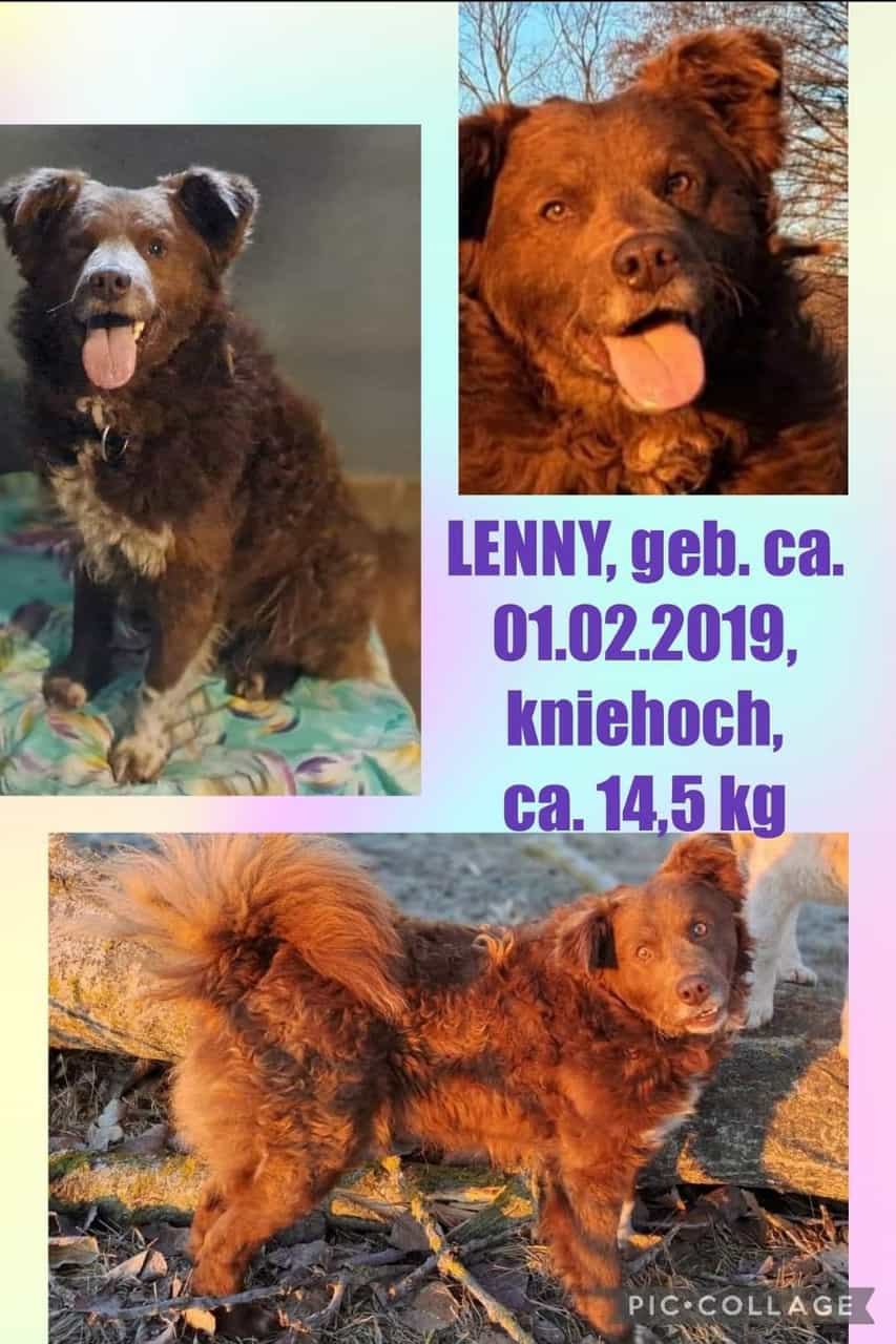 Lenny collage